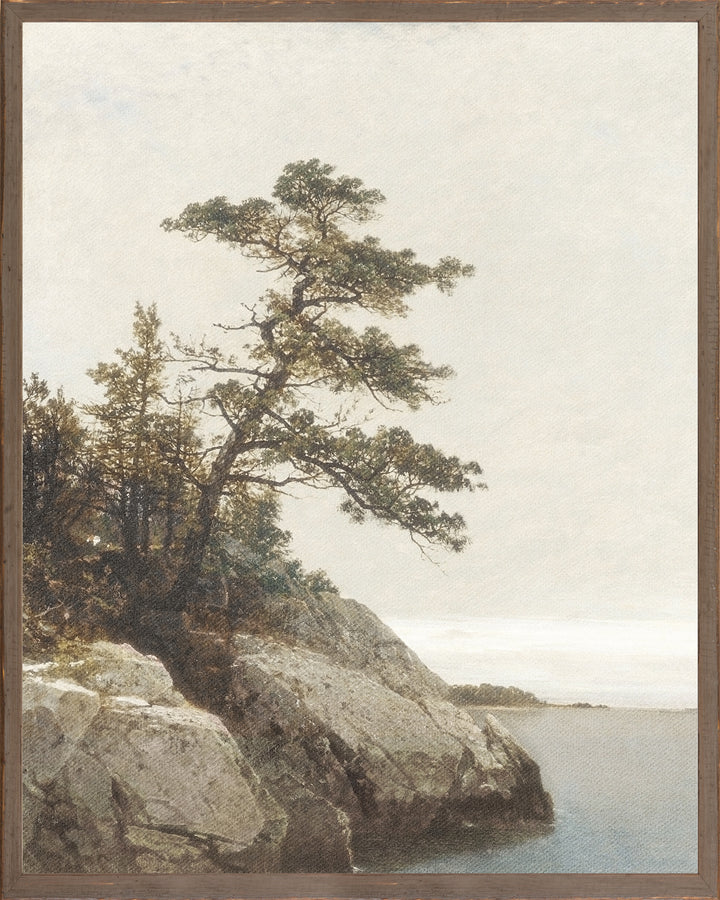 Northern Collection – The Old Pine C. 1872 - Large