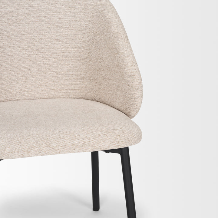 Shannon Dining Chair (Set of 2)